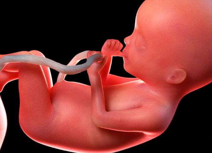 Umbilical Cord Injuries
