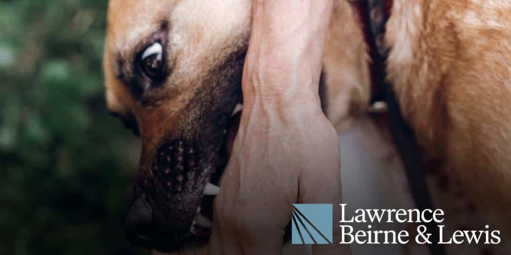 Dog Bite Injury Lawyer